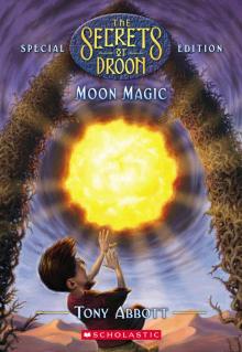 Moon Magic Read online