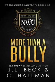 More Than A Bully: North Woods University Books 1-3 Read online