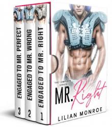 Mr. Right: The Complete Fake Engagement Series Read online