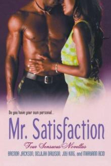 Mr. Satisfaction Read online