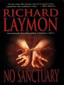 No Sanctuary Read online