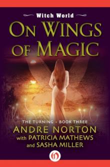 On Wings of Magic (Witch World: The Turning)