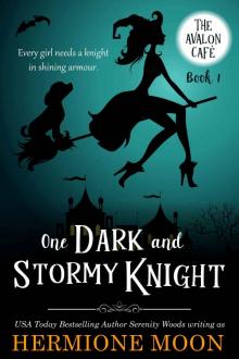 One Dark and Stormy Knight Read online
