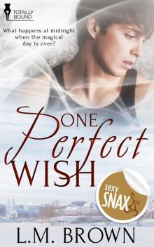 One Perfect Wish Read online