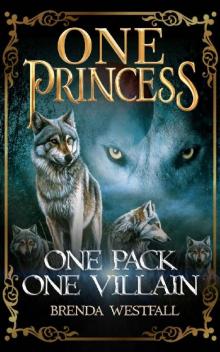One Princess One Pack One Villain Read online