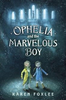 Ophelia and the Marvelous Boy Read online