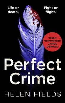 Perfect Crime Read online