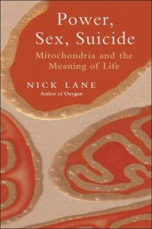 Power, Sex, Suicide Read online