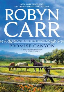 Promise Canyon Read online