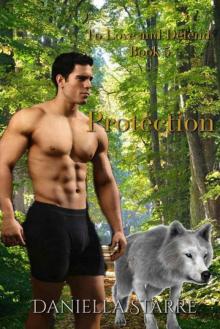 Protection (To Love And Defend Book 5) Read online