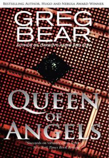 Queen of Angels Read online