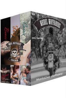 Rebel Wayfarers MC Boxset 4 Read online