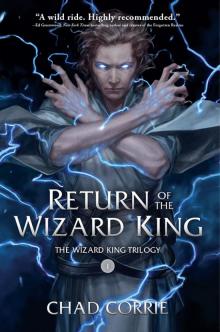 Return of the Wizard King Read online