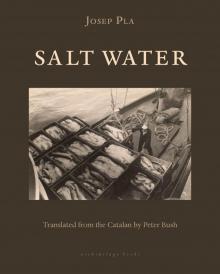 Salt Water Read online