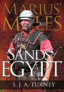 Sands of Egypt Read online