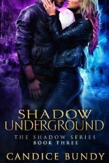 Shadow Underground: A Romantic Urban Fantasy Murder Mystery (The Shadow Series Book 3) Read online