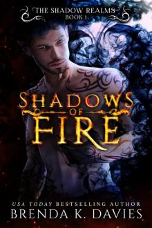 Shadows of Fire (The Shadow Realms, Book 1) Read online