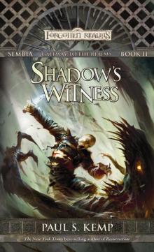Shadow's Witness Read online