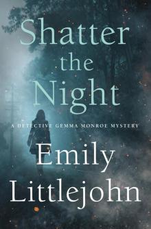 Shatter the Night Read online