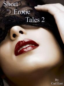 Short Erotic Tales 2