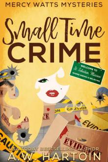 Small Time Crime (Mercy Watts Mysteries Book 10)