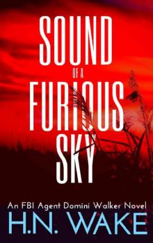 Sound of a Furious Sky: FBI Agent Domini Walker Book 1 Read online