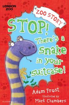 Stop! There's a Snake in Your Suitcase!