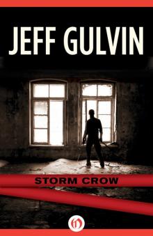 Storm Crow Read online