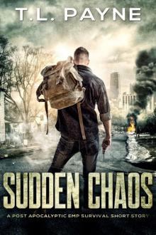 Sudden Chaos Read online