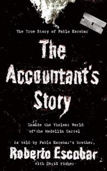 The Accountant's Story Read online