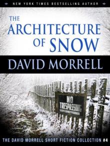The Architecture of Snow (The David Morrell Short Fiction Collection #4) Read online
