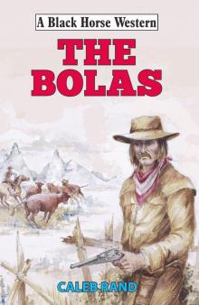 The Bolas Read online