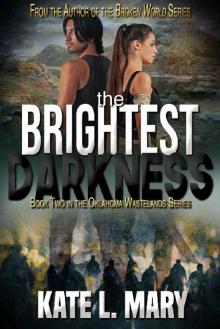 The Brightest Darkness Read online