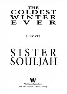 The Coldest Winter Ever Read online