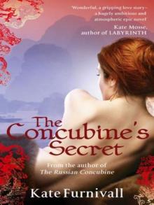 The Concubine's Secret Read online