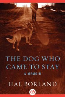 The Dog Who Came to Stay: A Memoir Read online
