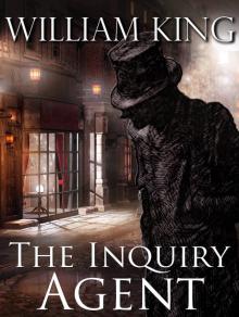 The Inquiry Agent Read online