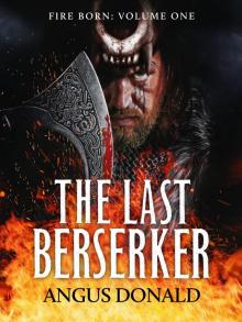 The Last Berserker Read online