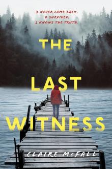 The Last Witness Read online