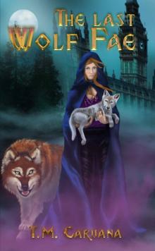 The Last Wolf Fae Read online