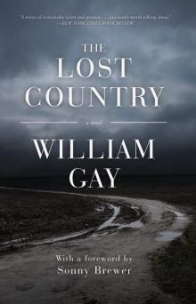 The Lost Country Read online