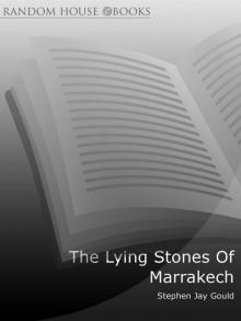 The Lying Stones of Marrakech Read online