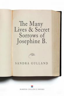 The Many Lives & Secret Sorrows of Josephine B. Read online