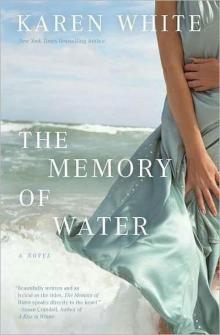 The Memory of Water Read online