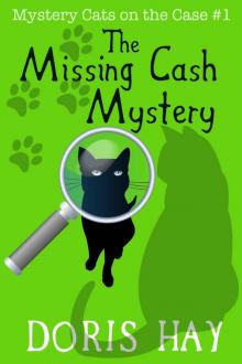 The Missing Cash Mystery