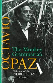 The Monkey Grammarian Read online
