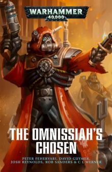 The Omnissiah's Chosen - Peter Fehervari Read online