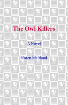 The Owl Killers Read online