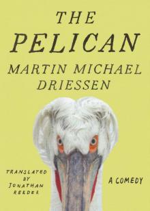 The Pelican