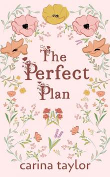 The Perfect Plan Read online